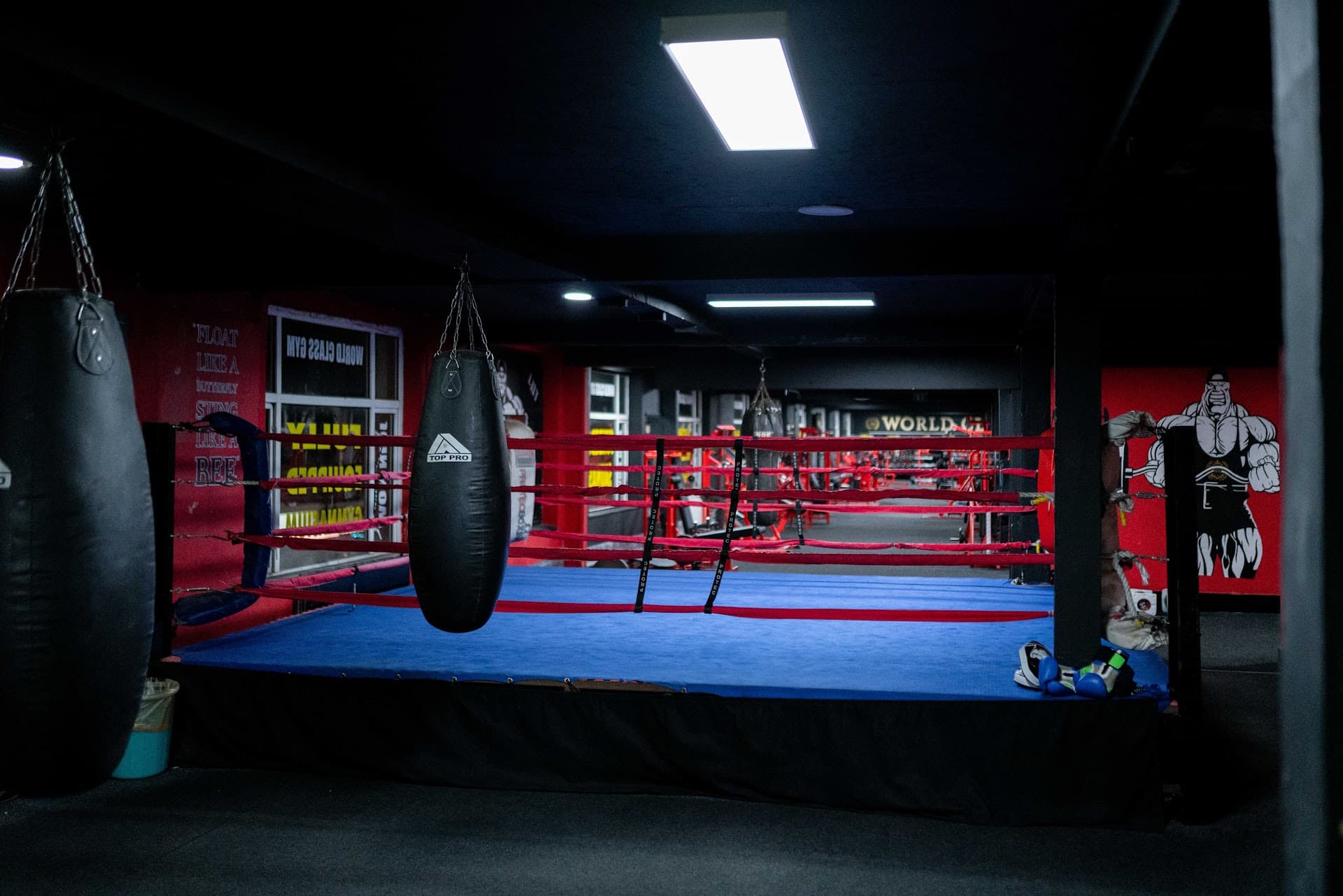Full size boxing ring and punch bags at World Class Gym, Wallasey