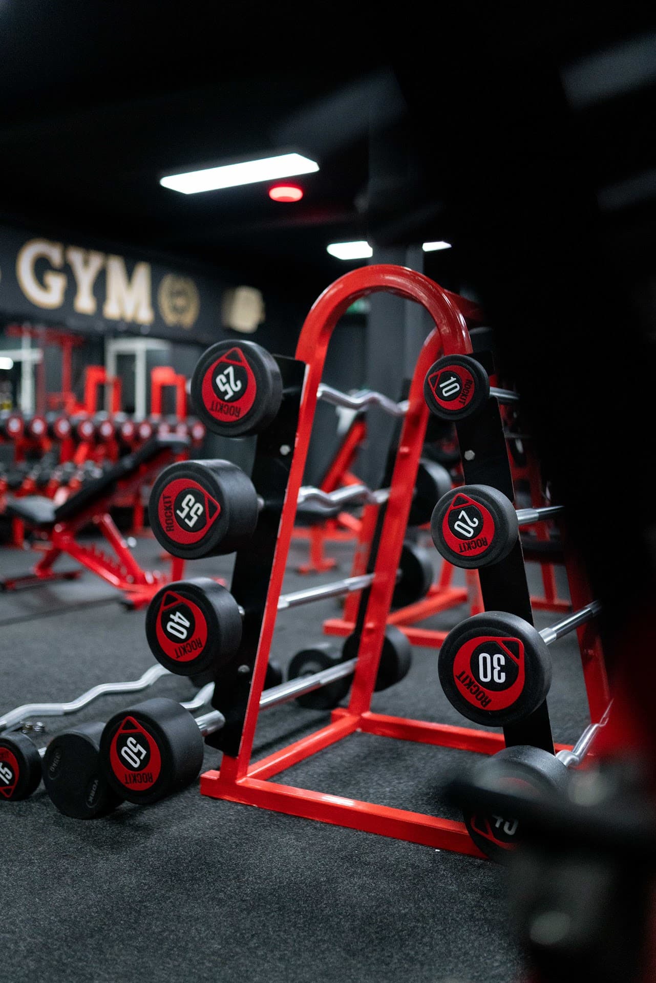 Weight plates and racks at World Class Gym, Wallasey